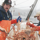 Crabbing in Alaska is a big industry—big enough to inspire television franchises and bring in hundreds of millions of dollars. But this year, in the Bering Sea, there will be no king or snow crabs harvest.